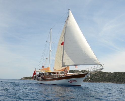 Sailing Cheersyachting